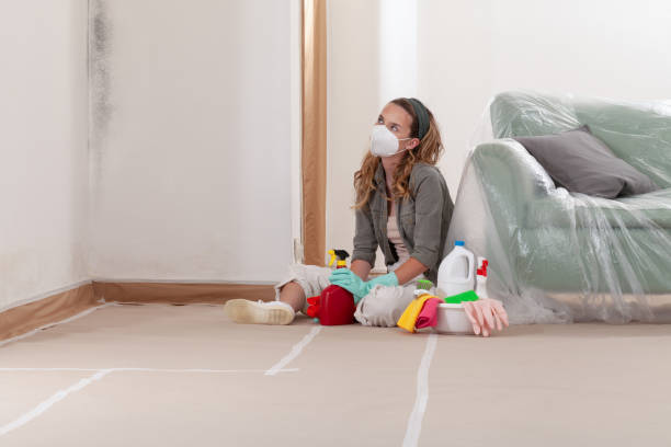 Reliable Mold Cleanup contractor in Ayden, NC by Cheap Mold Removal